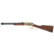Rossi Rio Bravo Buffalo Bill Engraved PVD Gold Rifle .22 LR 15rd Capacity 18' Barrel Wood Stock
