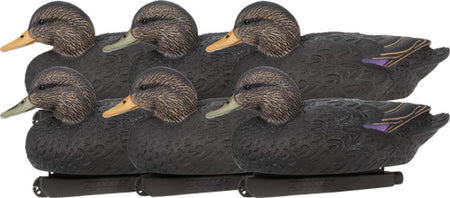 Zink Black Duck Floater Decoy Set 6 Pack