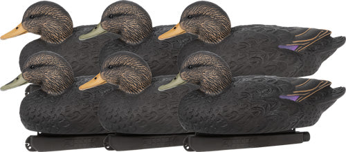 Zink Black Duck Floater Decoy Set 6 Pack