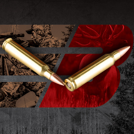 Barnes .223 Remington Rifle Ammo Centerfire Hollow Point Boat Tail BTHP 55 grain 