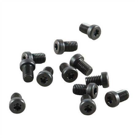 T-10 FILLISTER HEAD SCREW 8-40 X 1/4" 12 PACK