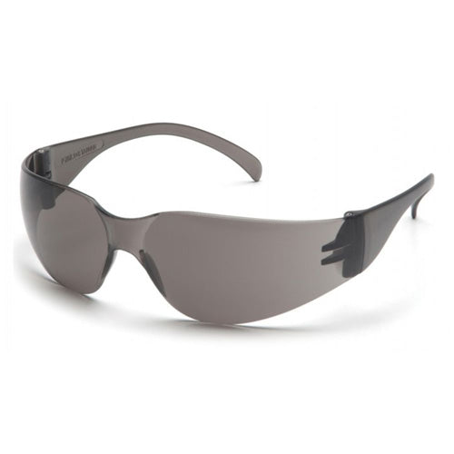 Intruder Protective Eyewear Gray/Gray Scratch Resistant Lens