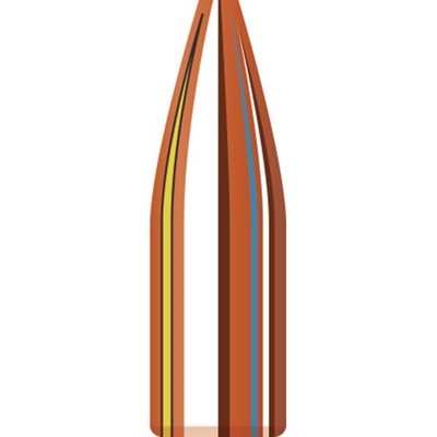Match 22 Caliber Hollow Point Projectiles 0.224"