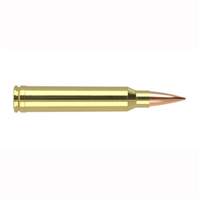 Nosler .300 WSM 60106 Trophy Grade Nosler Spitzer AccuBond Long Range 190 Grain