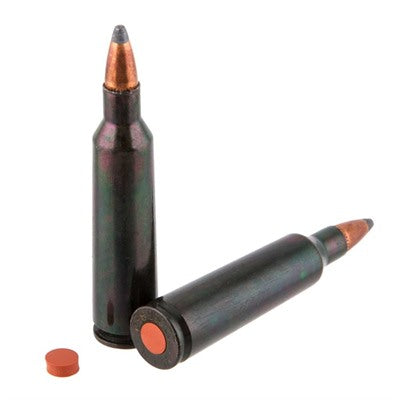 22-250 Remington Rifle Training Cartridges by Traditions (2 CT)