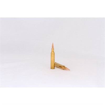 HSM 6mm Remington BER6REM95VLD Trophy Gold Berger Hunting VLD Match 95 Grain
