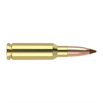 Nosler 6.5mm Grendel 61023 Ballistic Tip SP 120 Grain