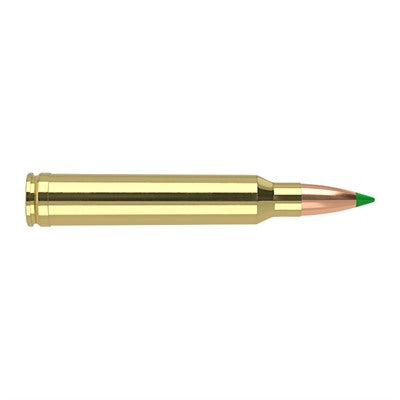 Nosler .300 Winchester Mag 40053 Ballistic Tip Hunting Spitzer Ballistic Tip 180 Grain