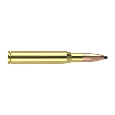 Nosler .30-06 Springfield 61018 Trophy Grade Partition 165 Grain