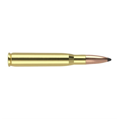 Nosler .30-06 Springfield 46142 Trophy Grade Partition 180 Grain