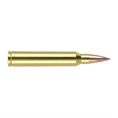 Nosler .300 Winchester Mag 60126 Trophy Grade Nosler Spitzer AccuBond Long Range 190 Grain