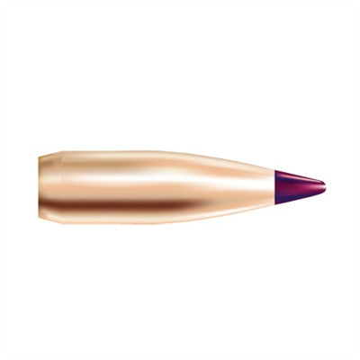 Nosler Ballistic Tip Hunting Bullets