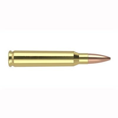Nosler .223 Remington 60023 Match Grade Custom Competition Hollow Point Boat Tail 69 Grain