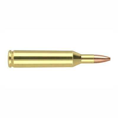 Nosler .17 Remington 65100 Varmageddon Flat Base Hollow Point 20 Grain