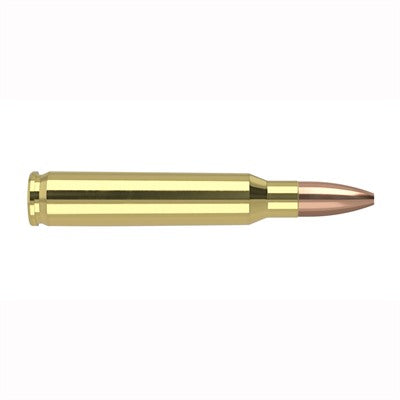 Nosler .223 Remington 40223 Varmageddon Flat Base Hollow Point 62 Grain